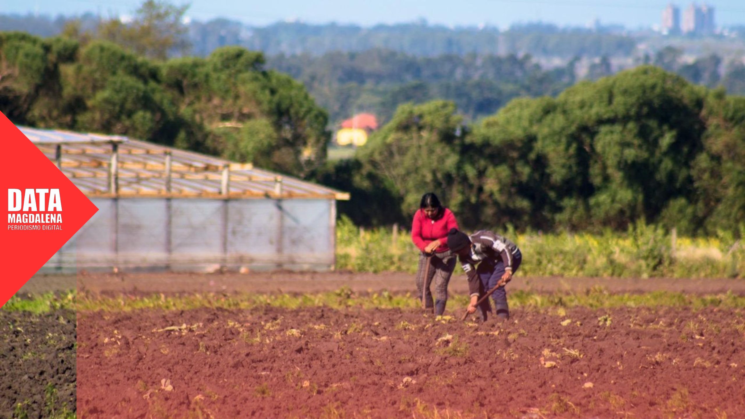 🛣️Productores del cordón frutihortícola declaran emergencia y anuncian corte en Ruta 36