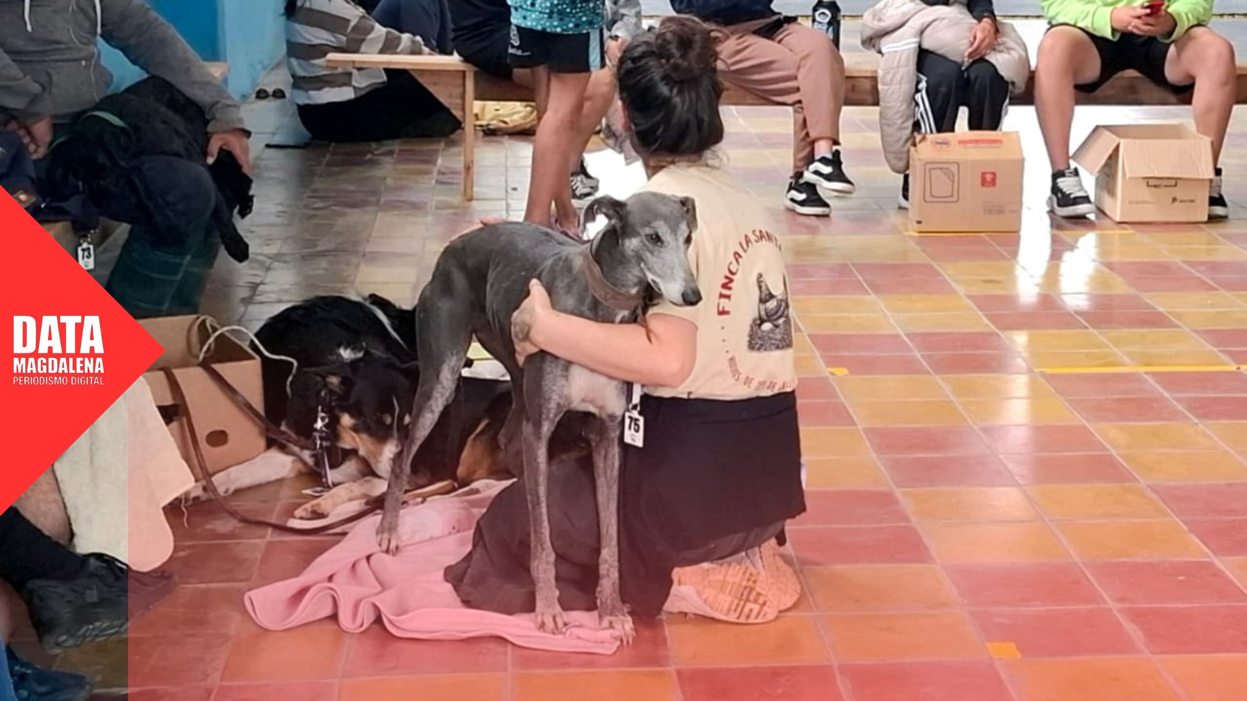 Castraciones en Bavio: casi 100 intervenciones y un total de 1.400 durante 2025 en el distrito